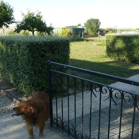 L'haubette 别墅 Courtisols